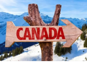 疫情如何改变加拿大电商市场？品类趋势有何变化？