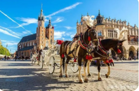 Allegro预计2023 Q1利润上升，强调降本增效