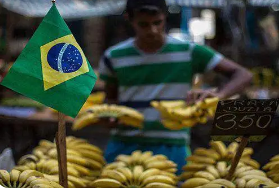 巴西消费者日订单量销售额不及往年！这几个品类卖不动了？