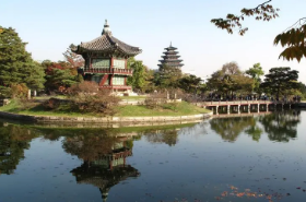 韩国电商平台监管升级，跨境卖家该如何应对？