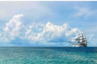 爱尔兰消费数据：食品杂货市场销售额增长6.6%