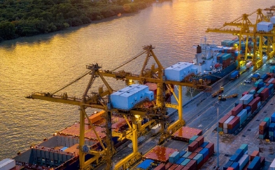 6月份荷兰在线零售额增长2.2%，服装品类出现下滑